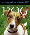 Dog Gallery Calendar 2007 (Page a Day Gallery Calendar)