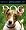 Dog Gallery Calendar 2007 (Page a Day Gallery Calendar)
