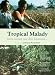 Tropical Malady  (OmU) [Edizione: Germania]