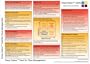 Crazy Colour Quick Reference Card for Time Management