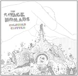 Coloured Clutter