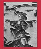 Aaron Siskind 100