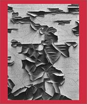 Aaron Siskind 100