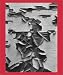 Aaron Siskind 100