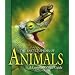 The Encyclopedia of Animals: A Complete Visual Guide