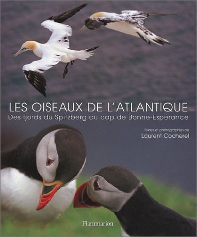 City Travel Guides Discounted  Livres : Les Oiseaux de l'atlantique : Des fjords du Spitzberg au cap de Bonne-Espérance