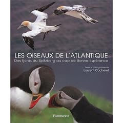 Les Oiseaux de l'atlantique : Des fjords du Spitzberg au cap de Bonne-Esp�rance