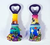 Handpainted Beer Bottle Opener (Beer Bottle Design) With Refrigerator Magnet: Sea Turtle Tropical Fish (Set of 2)