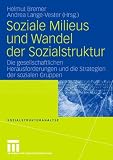 Produkt-Bild: Soziale Milieus und Wandel der Sozialstruktur: Die gesellschaftlichen Herausforderungen und die Strategien der sozialen Gruppen (Sozialstrukturanalyse)