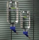 Lixit Glass Economy Guinea Pig/Ferrett Water Bottle 16 Oz.