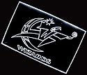 NBA Washington Wizards Team Logo Neon Light Sign