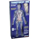 Transparent Human Anatomical Model Science Kit - Man