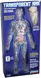 Lindberg Transparent Man figure model kit