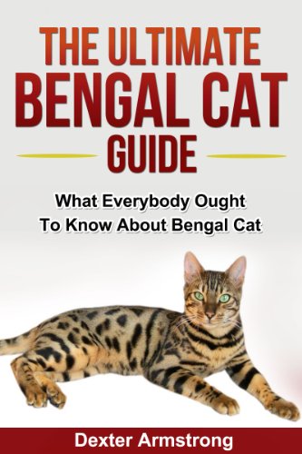The Ultimate Guide To Bengal Cat: What Everybody Ought To Know About Bengal Cats