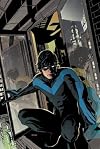 Nightwing: The Lost Year