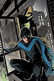 Nightwing: The Lost Year Nightwing: The Lost Year