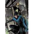 Nightwing: The Lost Year