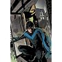 Nightwing: The Lost Year