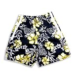 Dogwood - Toddler Boys Bathing Suit, Navy, White, Yellow