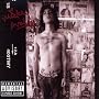 Mickey Avalon