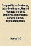 Syngnathidae: Seahorse, Leafy Sea Dragon, Flagtail Pipefish, Big-Belly Seahorse, Phyllopteryx, Corythoichthys, Histiogamphelus-