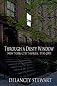 Through a Dusty Window: New York City Stories 1910-2001