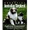 Dive into Some Great Australian Dog Guides