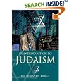 An Introduction to Judaism (Introduction to Religion) by Nicholas de Lange
