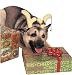 Reindeer Dog Antlers
