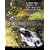 Theory&Practice of Counseling&Psychotherapy (7th Edition) Text Only