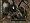 Baldur's Gate Compilation (PC DVD)