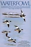 Waterfowl: An Identification Guide to the Ducks, Geese, and Swans of the World