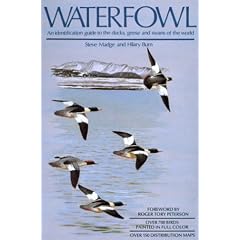Waterfowl: An Identification Guide to the Ducks, Geese and Swans of the World