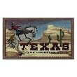 Texas Fun Rug - Clay (20x34")
