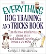 The Everything Dog Training and Tricks Book