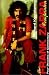 The Frank Zappa Companion: Four Decades of Commentary