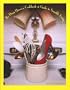 The Drag Queen's Cookbook & Guide to Sensible Living
