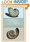 The Ambonese Curiosity Cabinet