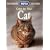 Care for Your Cat (RSPCA Pet Guides)