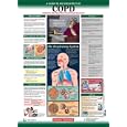 Diseases Explained: Chronic Obstructive Pulmonary Disease Wall Chart by  Lexi-Comp