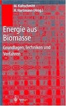 Energie aus Biomasse. Grundlagen, Techniken und Verfahren