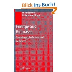 Energie aus Biomasse: Grundlagen, Techniken und Verfahren