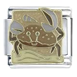 Animal Cancer Italian Charms Bracelet Link