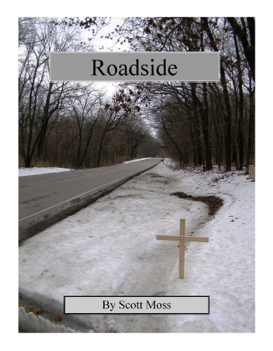 Roadside (Kindle Edition)
