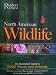 North American Wildlife