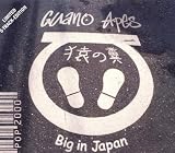 Big in Japan
