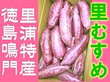 徳島鳴門の里浦特産!高糖度さつまいも!なると金時【里むすめ】5kg