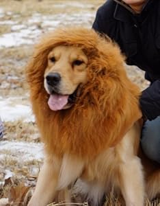 Large Pet Dog Cat Lion Wigs Mane Hair Festival Party Fancy Dress Clothes Costume