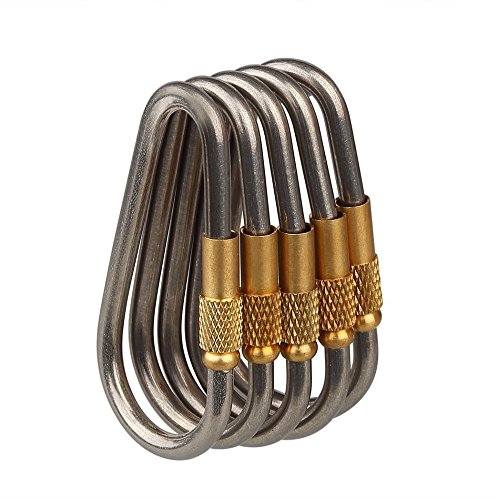D-FantiX Mini Titanium Carabiner keychain D-ring Locking Carabiner Key chain with Key Rings for Camping Hiking Outdoor Titanium Edc Gear