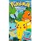 Pokemon Series List, Volume 1
